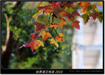 DSCF7089