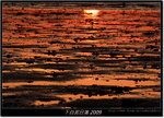 DSCF2803
