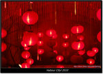 DSCF7542