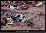DSCF5602