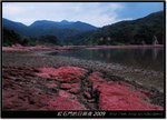 DSCF5772
