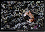 DSCF5775