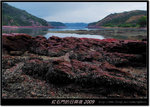 DSCF5785