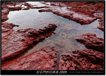 DSCF5796
