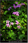 DSCF7959