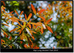 DSCF7971