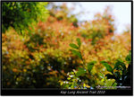 DSCF7985
