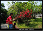 DSCF8015