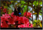 DSCF8025