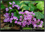 DSCF8034
