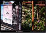 DSCF4964