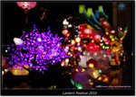 DSCF7608