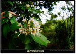 DSCF1164