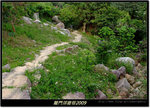DSCF1167