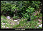 DSCF1169