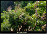 DSCF1186