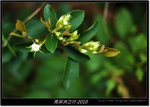 DSCF7471