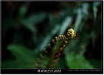 DSCF7473