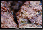DSCF7497