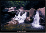 DSCF3244