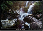 DSCF3377