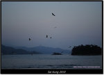 DSCF7164