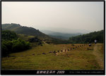 DSCF5216