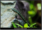 DSCF1828