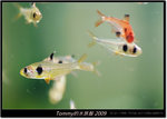 DSCF1833