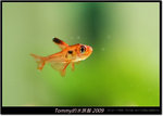 DSCF1838