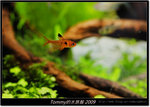 DSCF1878