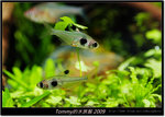 DSCF1885