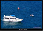 DSCF9228