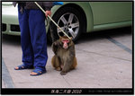 DSCF6734