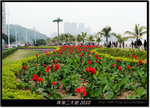 DSCF6736