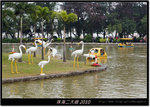 DSCF6766