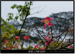 DSCF6778