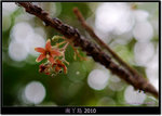 DSCF8159
