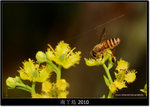 DSCF8177