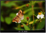 DSCF8193