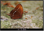 DSCF8198