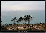 DSCF8212