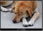 DSCF8242