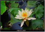 DSCF1241
