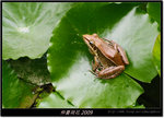 DSCF1251