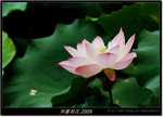 DSCF1254