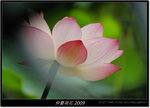 DSCF1265