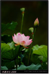 DSCF1266