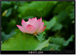 DSCF1270