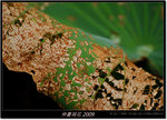DSCF1277